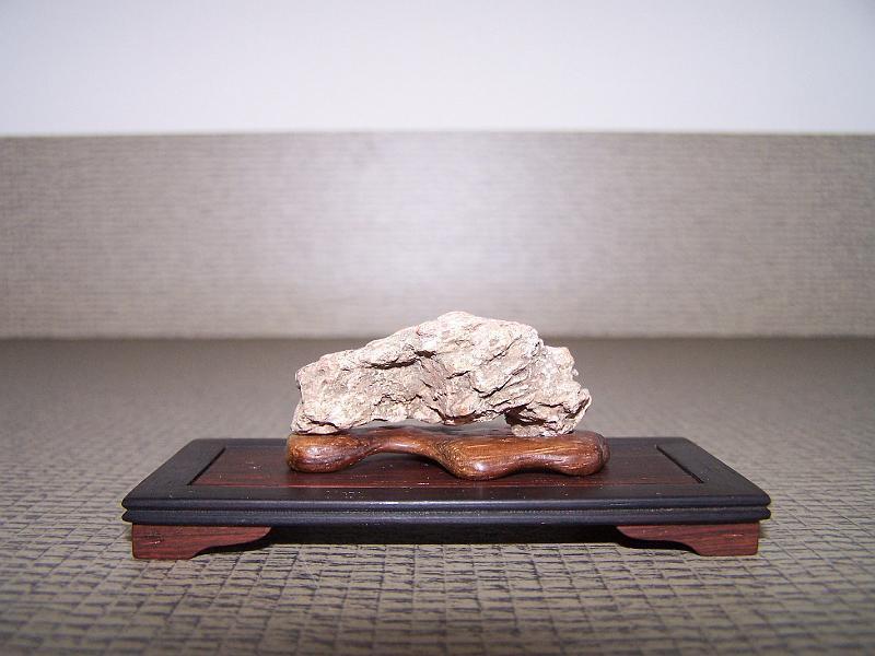 nieuwe foto's 200 125.jpg